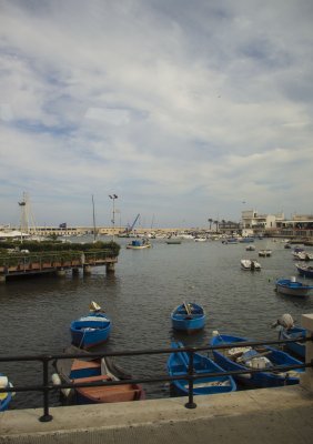 _MG_6676.jpg