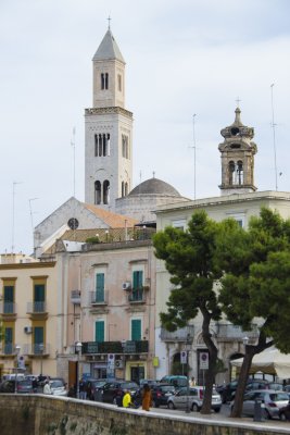_MG_6684.jpg