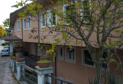 _MG_6815.jpg