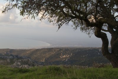 _MG_6818.jpg