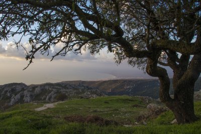 _MG_6824.jpg