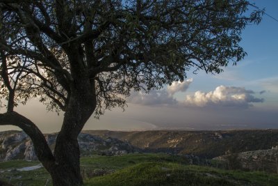 _MG_6834.jpg
