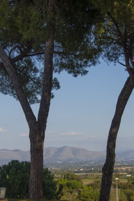 _MG_6851.jpg