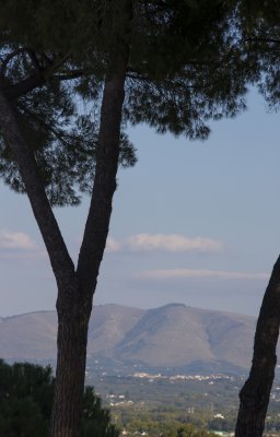 _MG_6854.jpg