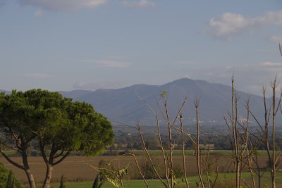 _MG_6857.jpg