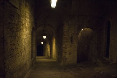 _MG_6892.jpg