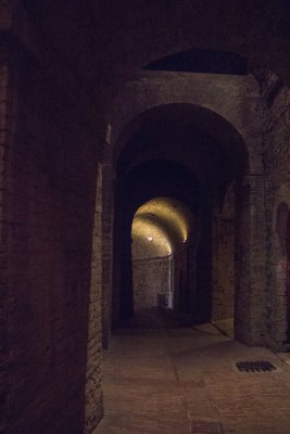 _MG_6916.jpg