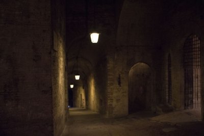 _MG_6917.jpg