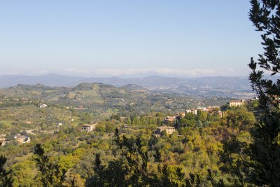 _MG_7012.jpg
