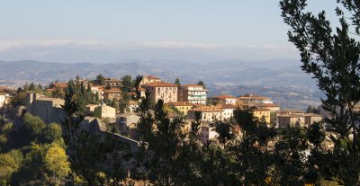 _MG_7013.jpg