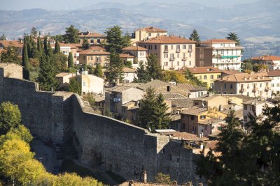 _MG_7020.jpg