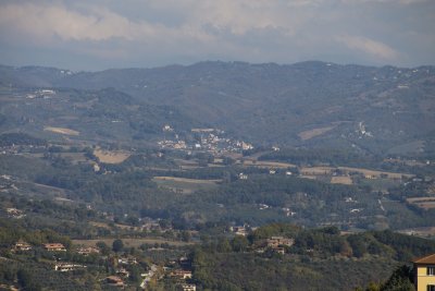 _MG_7021.jpg