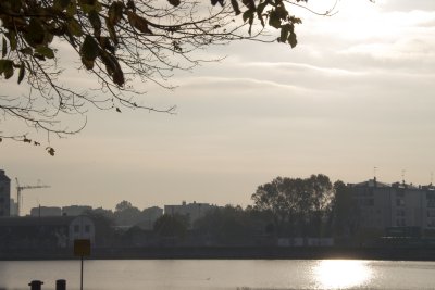 _MG_7044.jpg