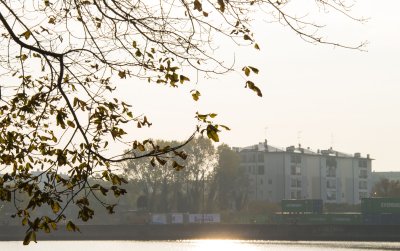 _MG_7046.jpg