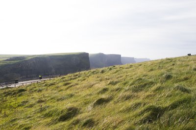 _MG_9427.jpg