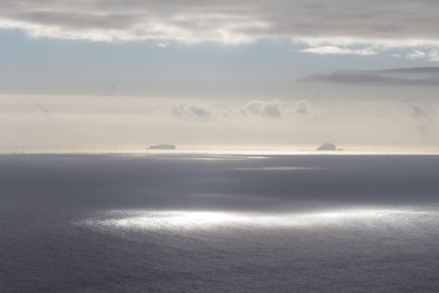 _MG_9582.jpg