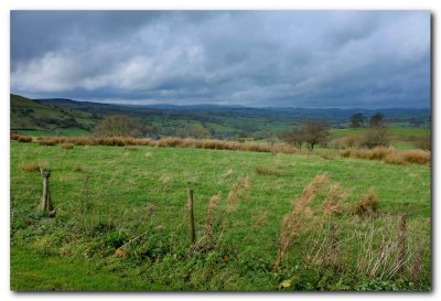 View from the cottage.jpg