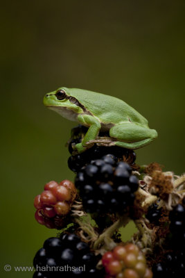 201308280106.jpg