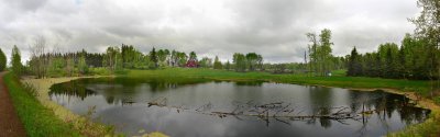 Southview pond