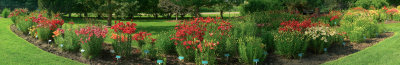 Lily Garden, St. Albert