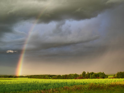 Rainbow at sunrise