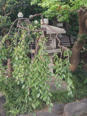 g9/46/862846/3/156958522.EcDmsJRO.jpg