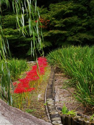 Tokugawa park, Nagoya