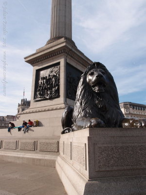 Trafalgar square Lion