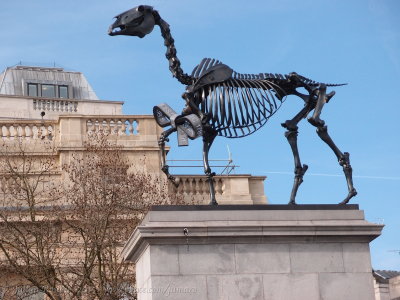 Gift horse