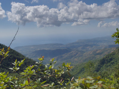 View from Cafetal Isabelica