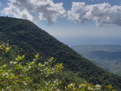 View from Cafetal Isabelica