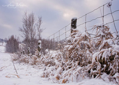 Neige Abondante