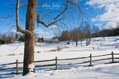 Promenade Hivernale