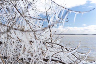 nature de glace 