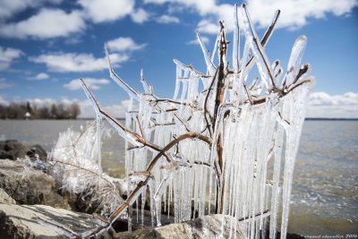 nature de glace 