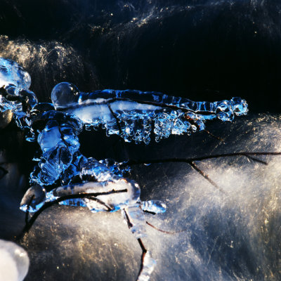 Winter - Ice Sculpture