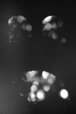 g9/46/980146/3/153833896.U5JP51KI.jpg