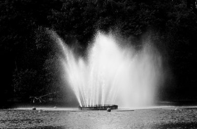 g9/46/980146/3/153929623.B5TKRiVg.jpg
