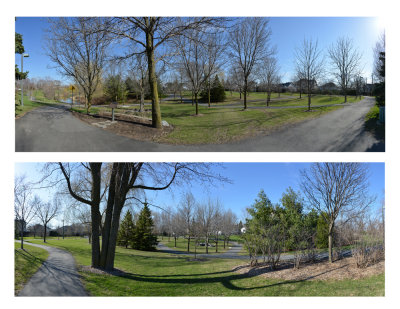 Arboretum  panorama
