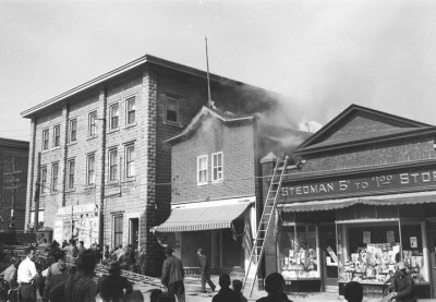 Stedmans.jpg