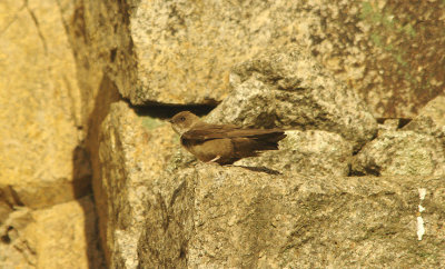 CRAG MARTIN . ALCANTARA RESERVOIR . SPAIN . 14 . 4 . 2016