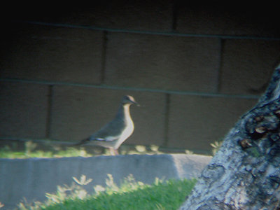 g9/47/1139747/3/164663525.uVAgsMwN.jpg