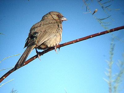 g9/47/1139747/3/164681301.ApHu1SpD.jpg