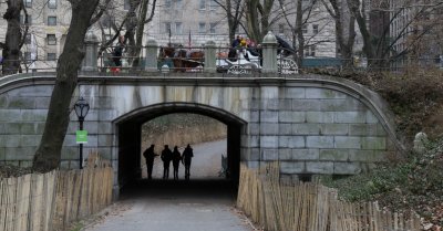 You can do a lot of things in Central Park, 26122013-GO5A2359 (1024x535).jpg