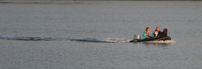 g9/47/1146947/3/155894602.i8TnlC81.jpg