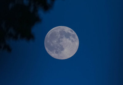 The Moon, 12062014-GO5A3171 - kopia.jpg