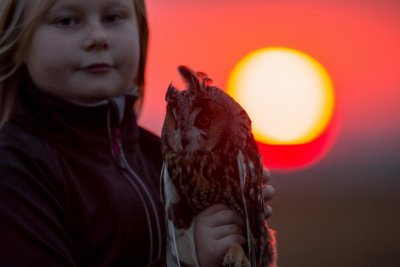 Matilda with a Long-Eared Owl at Sunrise, 27102014-GO5A4023 - kopia - kopia (1024x683).jpg