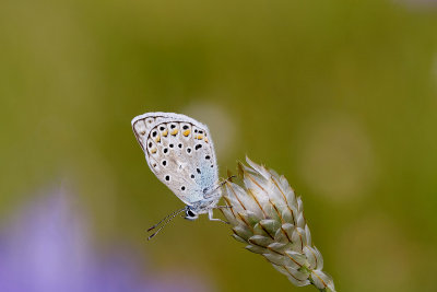 g9/47/1153247/3/157001747.EIpPKDa7.jpg