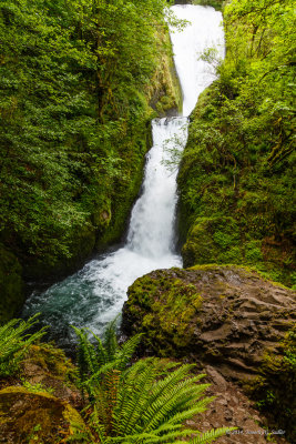 Bridal Veil Falls-140516-011-Edit-Edit-WEB.jpg