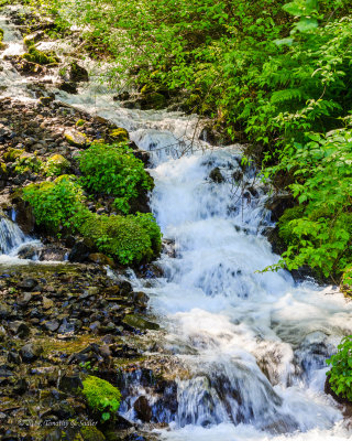 Wahkeena Falls-140514-007-Edit-WEB.jpg